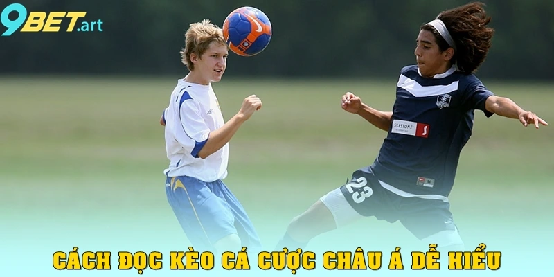 Kèo Cá Cược Châu Á 9bet – Hướng Dẫn Toàn Tập Cho Người Chơi Cách đọc kèo cá cược châu Á dễ hiểu