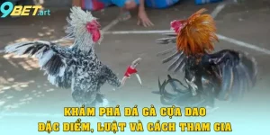 Khám Phá Đá Gà Cựa Dao: Đặc Điểm, Luật Và Cách Thức Tham Gia