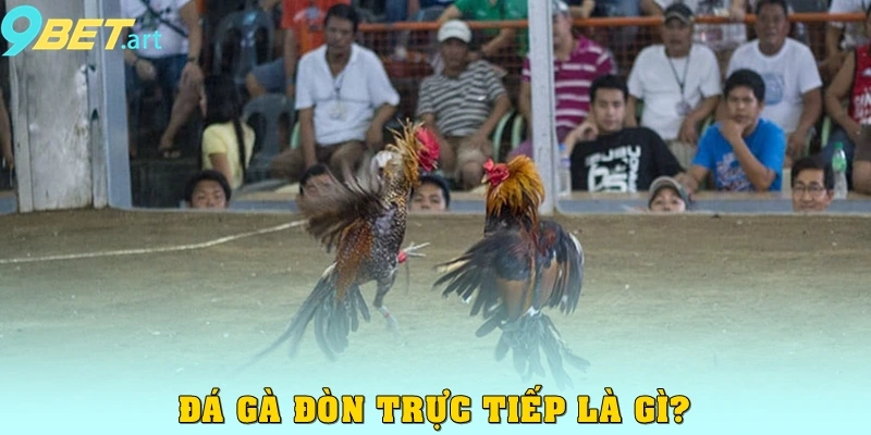 Đá Gà Đòn Trực Tiếp 9bet – Thưởng Thức Trận Đấu Đỉnh Cao Đá gà đòn trực tiếp là gì?