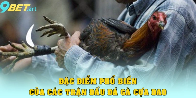 Khám Phá Đá Gà Cựa Dao: Đặc Điểm, Luật Và Cách Thức Tham Gia Đặc điểm phổ biến của các trận đấu đá gà cựa dao