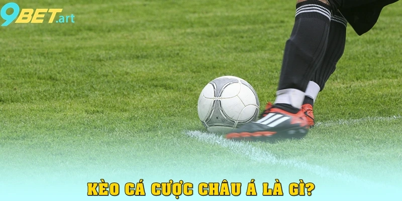 Kèo Cá Cược Châu Á 9bet – Hướng Dẫn Toàn Tập Cho Người Chơi Kèo cá cược châu Á là gì?